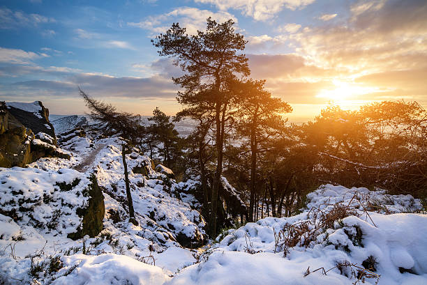 A snow-covered slope in Yığılca, Düzce