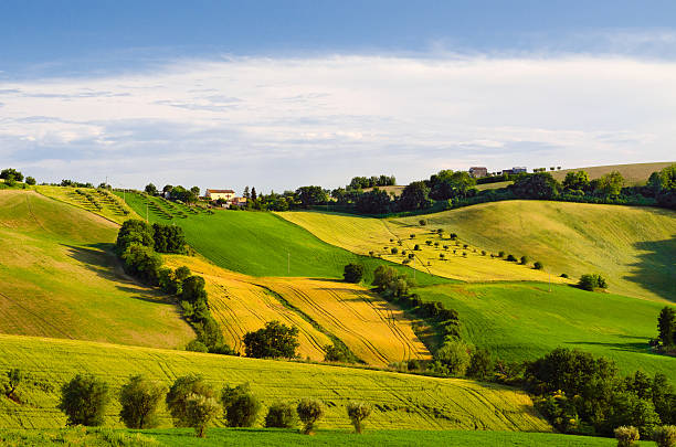 Wavy fields Wavy fields in the countryside of Macerata, Italy macerata italy stock pictures, royalty-free photos & images