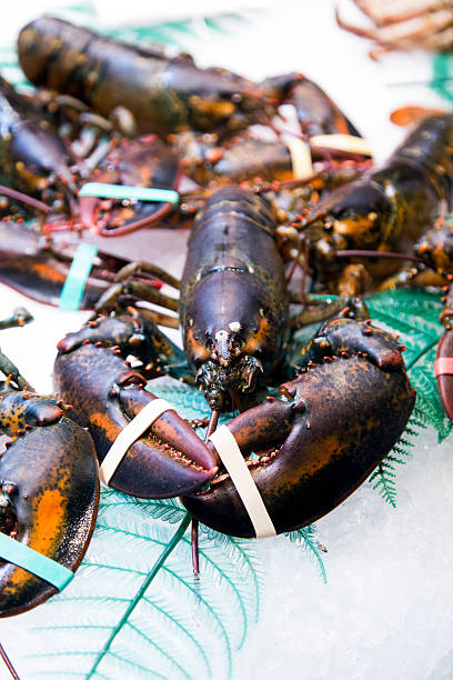 istock Many lobster at a market stall 479105755