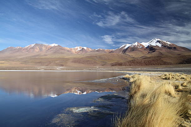 istock Laguna Blanca in Bolivia 479107166