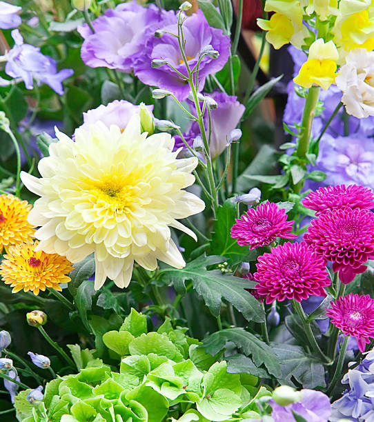 istock Bright multicolor bouquet made of different flowers 479107894