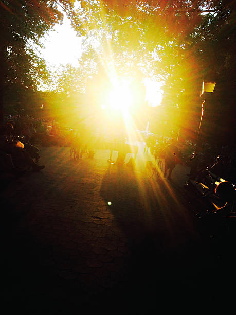 istock Backlight of the park 479108540