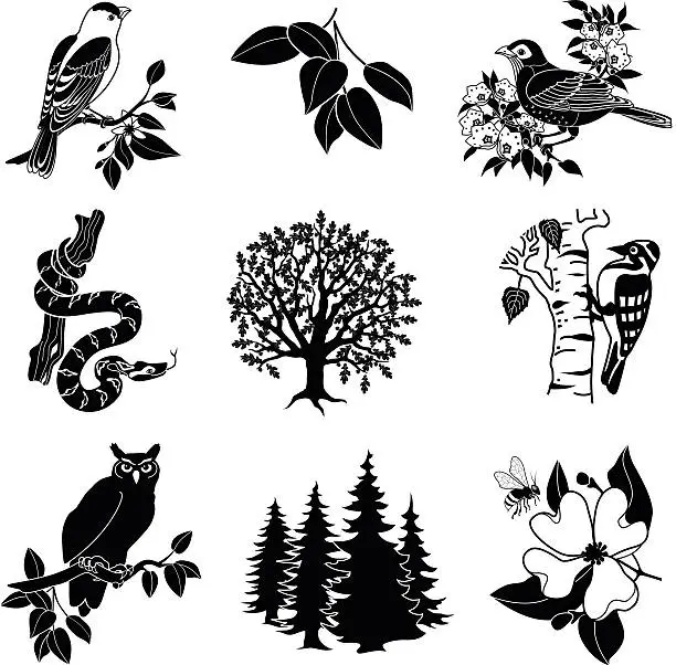 Vector illustration of North American wildlife and plants in black and white
