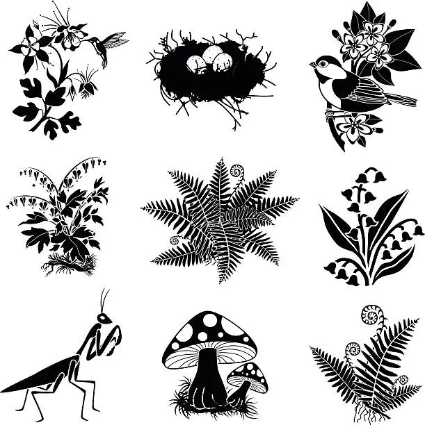 Vector illustration of North American wildlife and plants in black and white