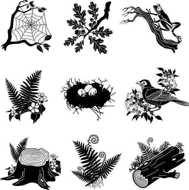 Vector illustration of North American wildlife and plants in black and white