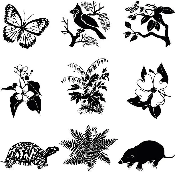 Vector illustration of North American wildlife and plants in black and white