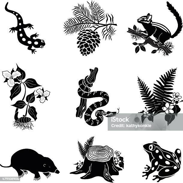 North American Wildlife And Plants In Black And White Stock Illustration - Download Image Now