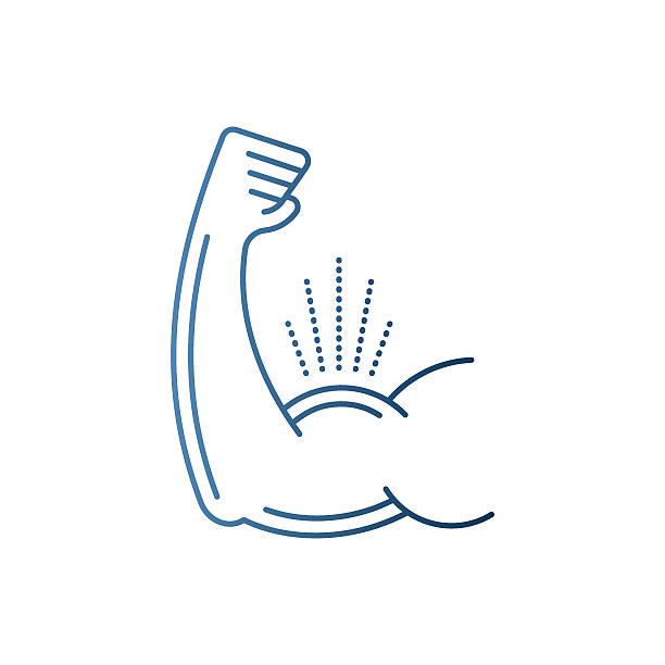 illustrazioni stock, clip art, cartoni animati e icone di tendenza di bicipiti braccio di flessione - bicep human arm macho flexing muscles