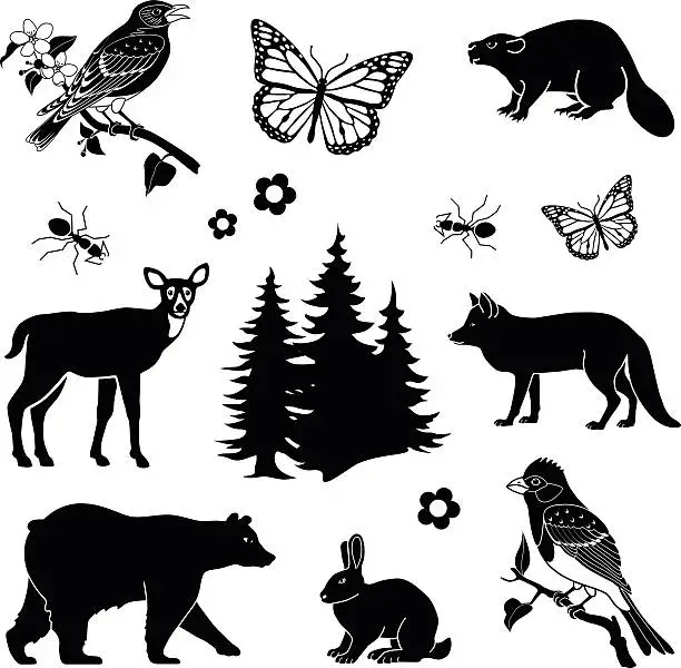 Vector illustration of North American wildlife in black and white