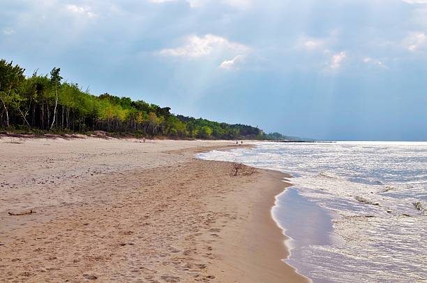 istock Baltic Landscape with Forest,Beach,Sea and Storm Clouds 479110413