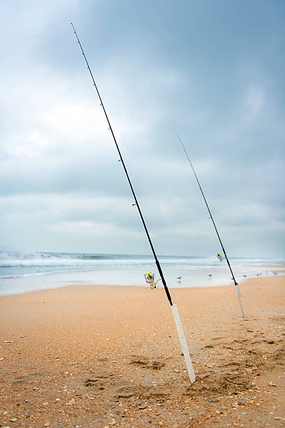 istock Fishing rods by the sea 479110435