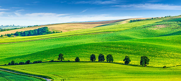 istock Rolling landscape of South Moravia with trees 479112226