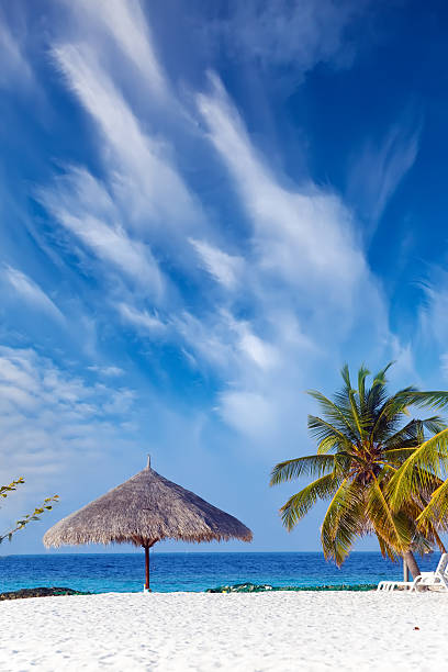 istock Sun-protection umbrella, beach, sea 479114686