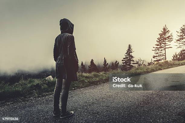 Traveler Walking In A Foggy Forest Stock Photo - Download Image Now - Adult, Autumn, Casual Clothing