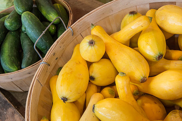 abóbora no bin - crookneck squash - fotografias e filmes do acervo