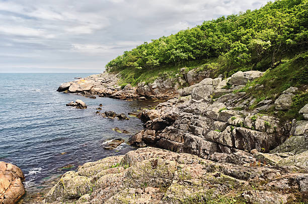 istock Seaside rock with plant. Black sea 479121162