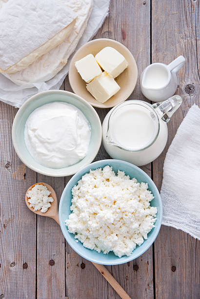 produtos lácteos frescos - farmers cheese imagens e fotografias de stock