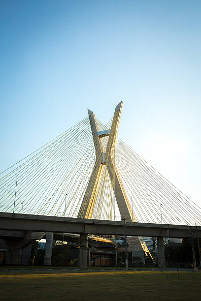 istock Estaiada Bridge in Sao Paulo, Brazil 479126654