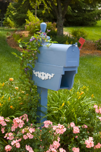 Pretty blue mailbox is surrounded by flowers.