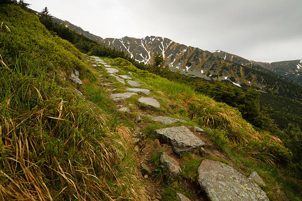 hiking path stock photo