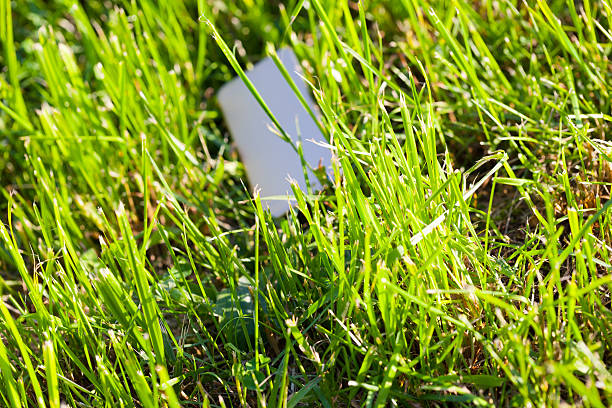 istock lost mobile phone in the green grass 479135076