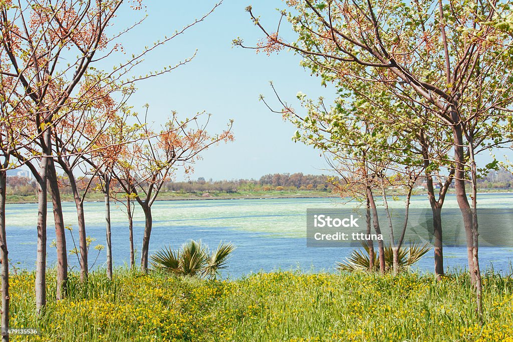 agricultural field, outdoor photo beauty in nature Color image of natural landscape and plant photograph in beautiful nature. This outdoor photograph taken with a Canon DSLR camera and is a color image and edited in Photoshop sharpened and color correction made. 2015 Stock Photo