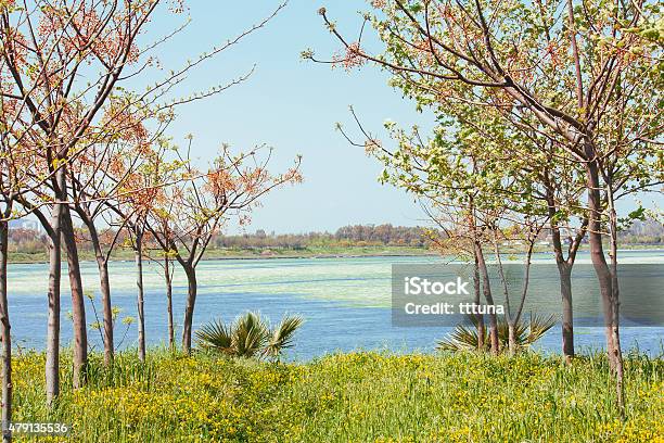 Agricultural Field Outdoor Photo Beauty In Nature Stock Photo - Download Image Now - 2015, Agricultural Field, Agriculture