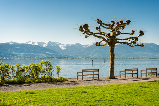 Empty benches, ready for a view from the German side to the mountains from Switzerland side of Lake Constance. 