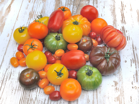 differents color varieties of tomatoes on a wooden white table