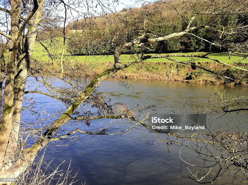 River Wye River Wye, Forest of Dean, Gloucestershire, England, UK, Colour Image, Idyllic, Landscape, Nature, Non Urban Scene, Outdoors, Photography, Picturesque, Rural Scene, Scenic, Spring, Sunny, Tranquillity, Wye Valley Wye Valley Stock Photo