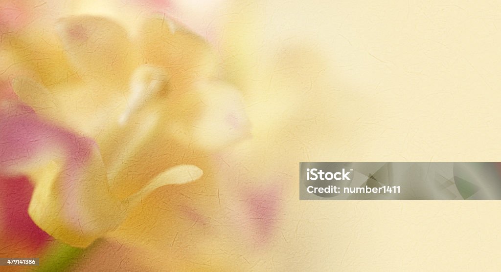 sweet color orchids in soft  style on mulberry paper texture sweet color orchids in soft and blur style on mulberry paper texture for background 2015 Stock Photo