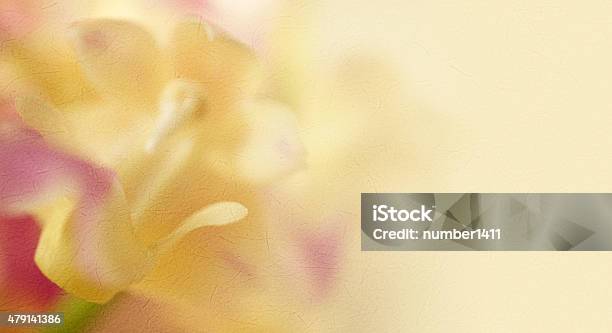 Sweet Color Orchids In Soft Style On Mulberry Paper Texture Stock Photo - Download Image Now