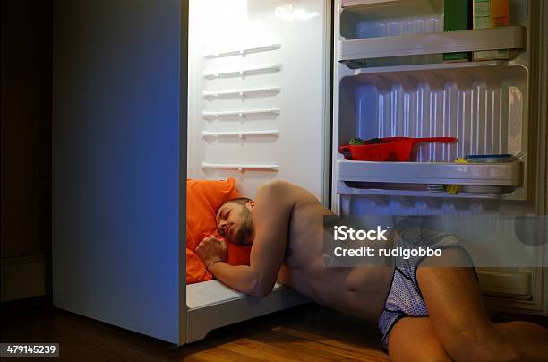 Dormir No Frigorífico - Fotografias de stock e mais imagens de Dormir - Dormir, Frigorífico, Suor