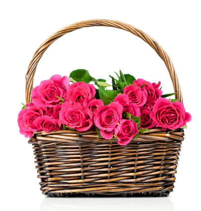 Fresh roses in the wicker on white background