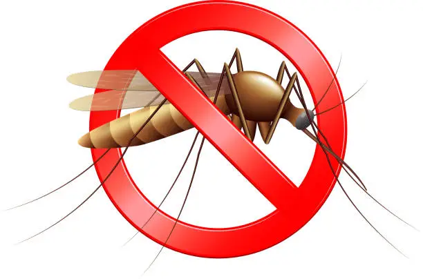 Vector illustration of Stop mosquito sign isolated vector illustration