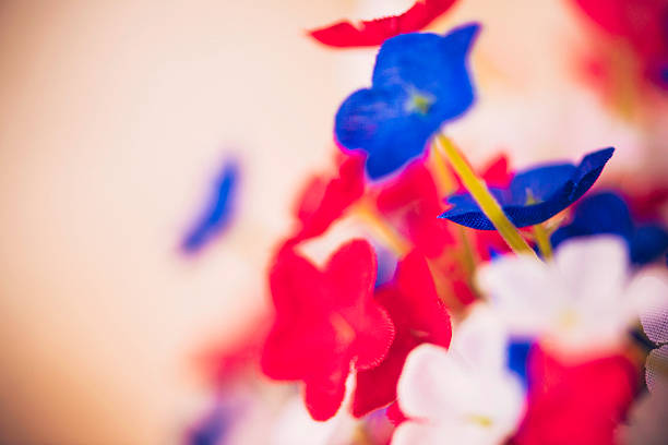 istock Patriotic flowers with copy space. Independence Day. July 4th Background. 479149860