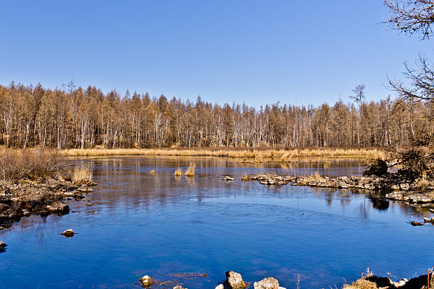 istock Autumn at Arxan, China 479150986