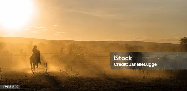 Mustering Kimberley Western Australia Stock Photo - Download Image Now - Australia, Cattle, Outback