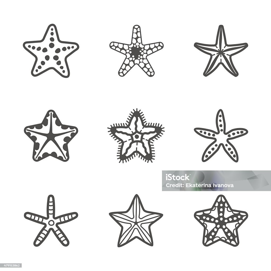 Vector set of various contour sea starfish Set of various sea starfish. Vector illustration 2015 stock vector