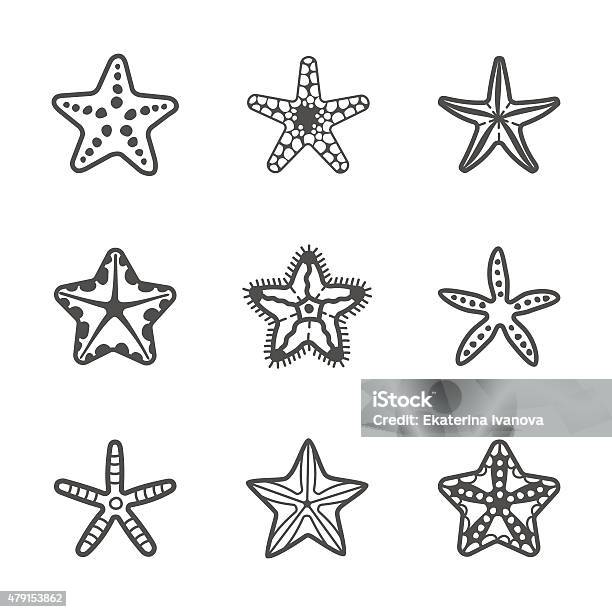 Vector Set Of Various Contour Sea Starfish Stock Illustration - Download Image Now - 2015, Animal, Animal Wildlife