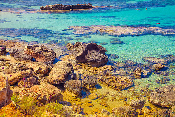 istock Igneous sea coast, Protaras city, Cyprus 479155152