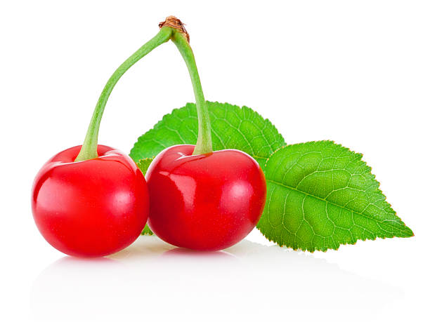 dos cerezas maduros con hojas aisladas sobre fondo blanco - sour cherry cherry sour taste cute fotografías e imágenes de stock