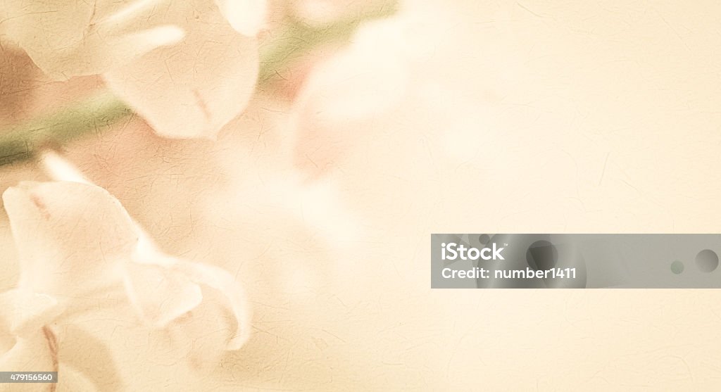 sweet color orchids in soft color and blur style sweet color orchids in soft color and blur style for background 2015 Stock Photo