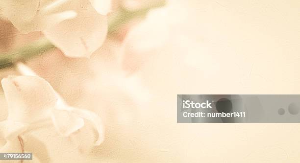 Sweet Color Orchids In Soft Color And Blur Style Stock Photo - Download Image Now - 2015, Abstract, Art