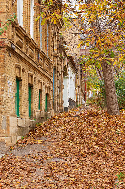 istock Street strewn with fallen leaves. 479157517