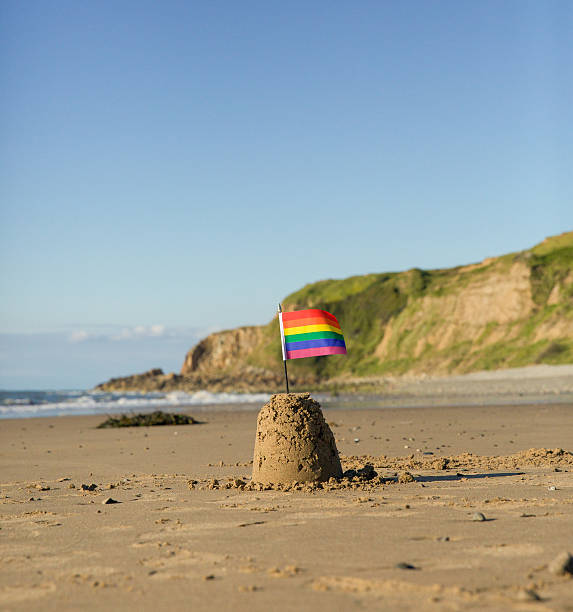 istock Rainbow flag on a sandcastle - sea in the distance 479158932
