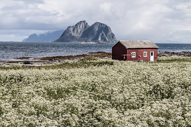 vaeroy, ilha de lofoten ilha, noruega - vaeroy imagens e fotografias de stock