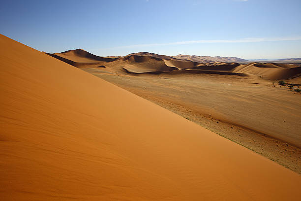 istock The side of the dune at Sossusvlei 479159561