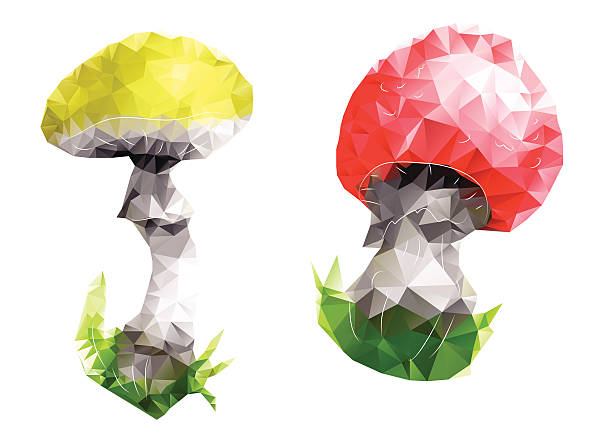 mushroom. 삼각형 추상적임 디자인식 - 독우산광대버섯 이미지 stock illustrations