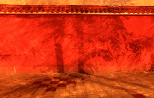 The Tree  shadow on the red walls